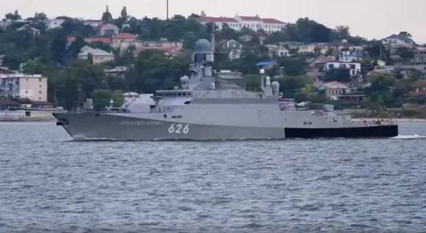 Новости Севастополя - В Севастополе разожгли костер в фисташковой роще