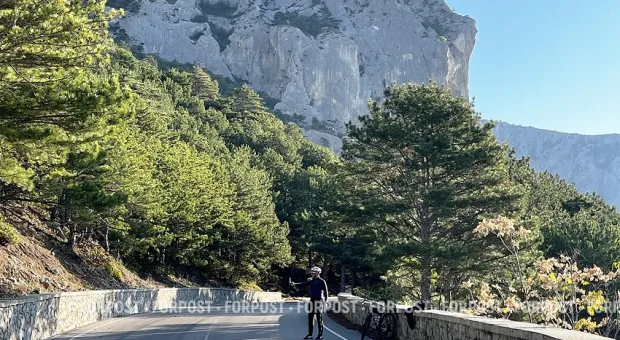 Новости Севастополя - Голуби-киборги: в России научились превращать обычных птиц в послушные биодроны