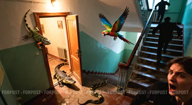 Новости Севастополя - 