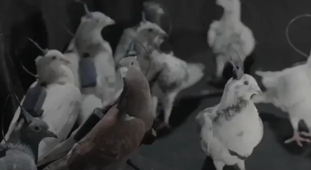 Новости России - 