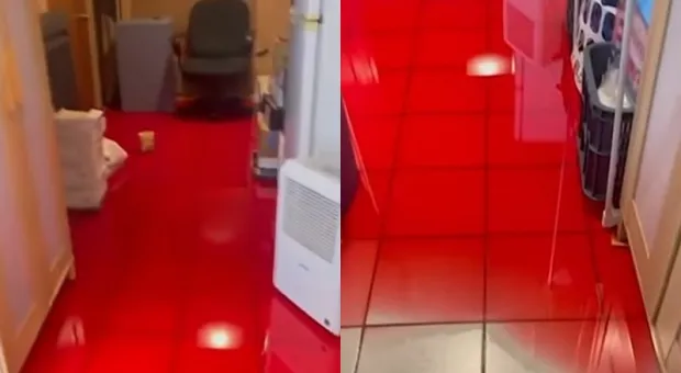 Мировые новости - Севастополь решил сыграть с ветром на опережение