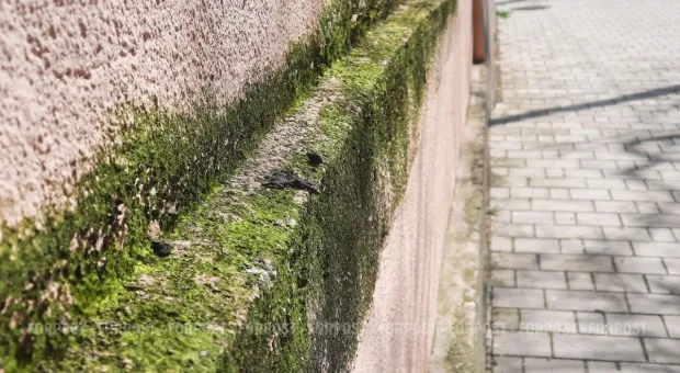 Новости Крыма - 