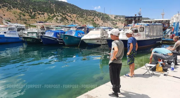 Новости Севастополя - Как изменятся сроки реконструкции Большой Морской