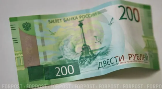 Новости Севастополя - В Севастополе «сдали» тысячи гектаров леса без конкурса