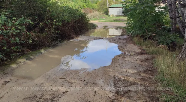 Новости Севастополя - У жителя Севастополя украли коллекционное собрание Шекспира