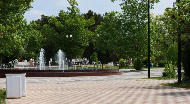 Новости Севастополя - Полиция подключается к борьбе с мусорными свалками в Севастополе