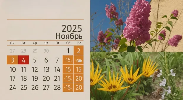 Новости России - 