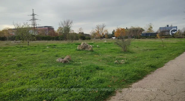 Новости Севастополя - В Севастополе нашли лазейку для уплотнительной застройки