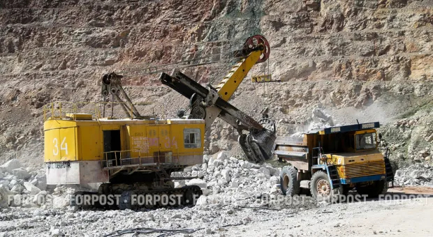 Новости России - Хлорка и купорос: чем предлагают лечить крымские квартиры