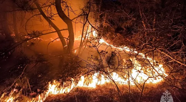 Новости Севастополя - 