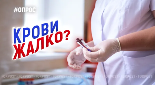 Новости Севастополя - Названы пять «двигателей», которые дадут толчок российскому экономическому чуду