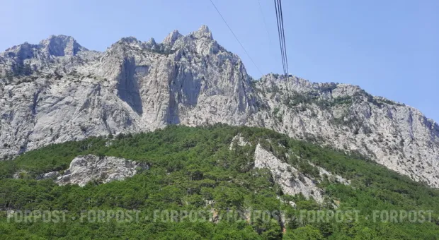 Новости Севастополя - «Патриот Украины» требует ликвидировать меджлис и автономию Крыма