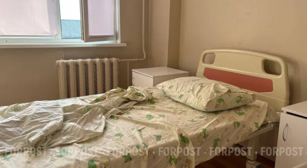 Новости Севастополя - Земельный аукцион в Севастополе переносится