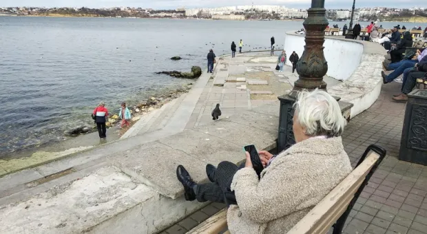 Новости Севастополя - Севастопольским афганцам запрещено выступать дольше Куницына