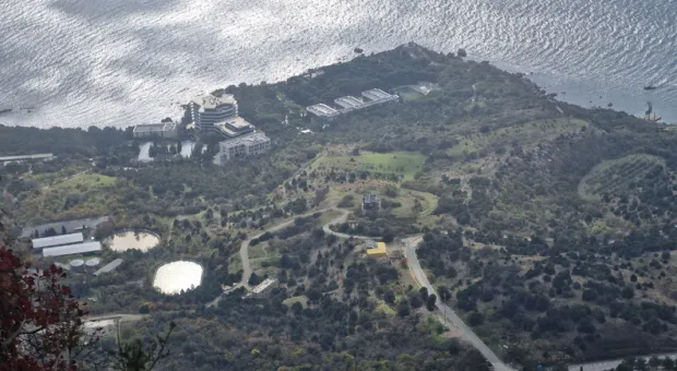 Новости Севастополя - В Севастопольских лесах нашли коз, оленей, лис, зайцев и даже одного барсука из Красной книги