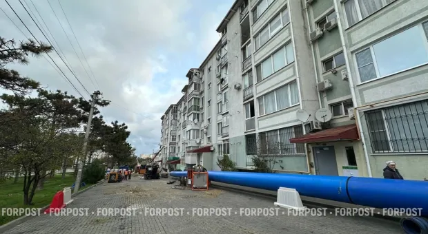 Новости Севастополя - Найдены останки криптобизнесмена Романа Новака и его жены