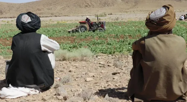 Мировые новости - 