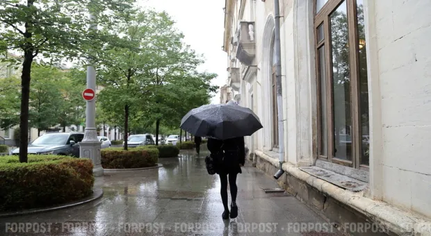 Новости Севастополя - Севастопольские метрологи будут защищать потребителей