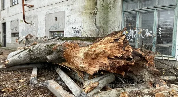 Новости Севастополя - О новых правилах жизни - севастопольский депутат Антон Пархоменко