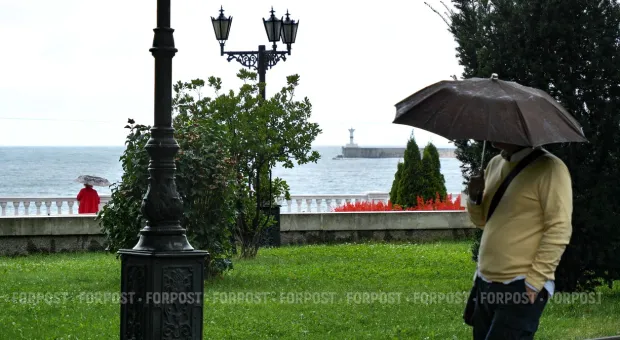 Новости Севастополя - Врио губернатора хочет заслужить доверие жителей Севастополя