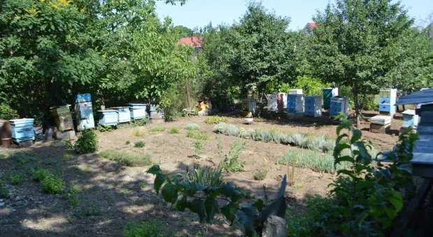 Новости Севастополя - «Драконий мостик» Севастополя вошел в топ-7 идеальных мест для свиданий