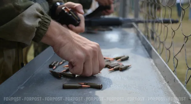 Новости Севастополя - В Севастополе незаконно захвачено 200 га земли