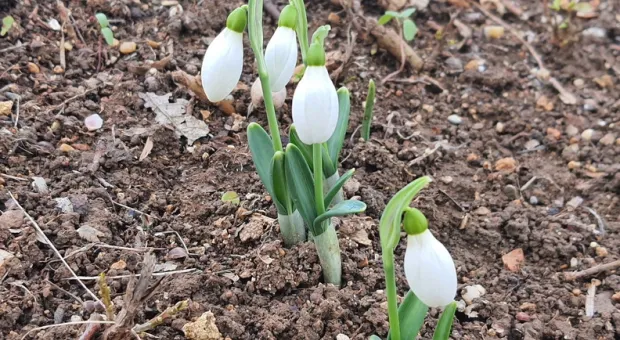 Новости Севастополя - В Севастополе состоялось заседание комиссии конкурса "100 лучших товаров Украины"