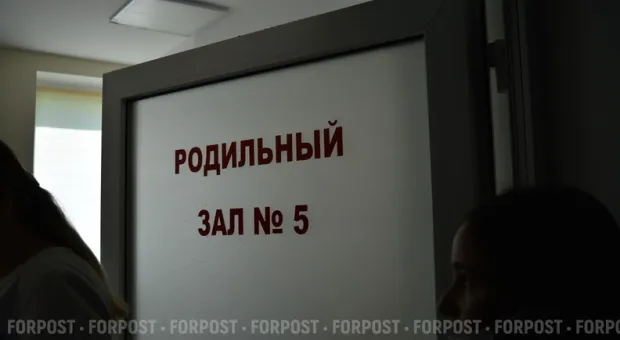 Новости Севастополя - В Севастополе завели 17 уголовных дел по коррупции