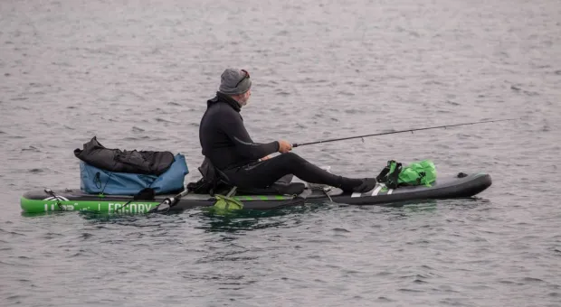 Новости Севастополя - Может ли Черное море остаться без рыбы