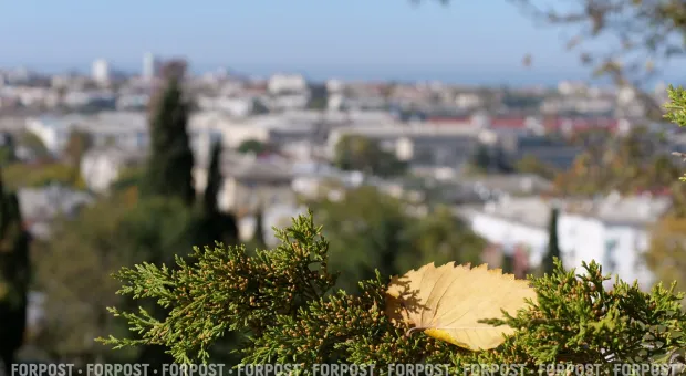 Новости Севастополя - Российский танкер подвергся атаке у берегов Турции