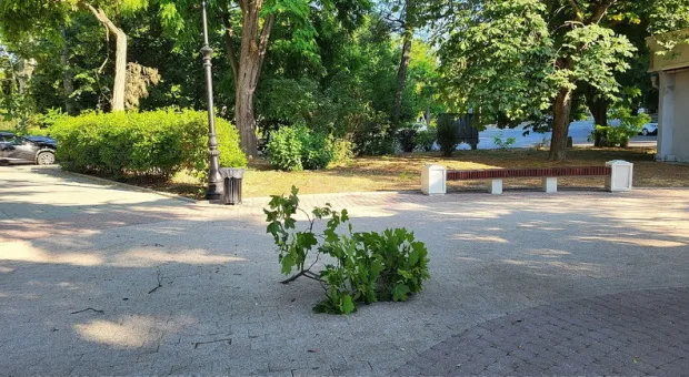 Новости Севастополя - Разрушители Херсонесских легенд