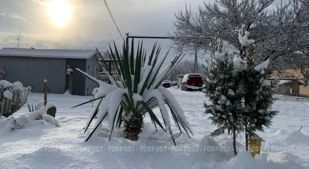 Новости Севастополя - Где найти педиатра в Севастополе?