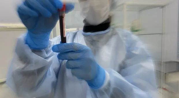 Новости Севастополя - В Севастополе за 140 млн рублей отремонтируют детский сад