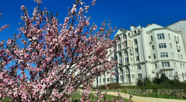 Новости Севастополя - В севастопольской галерее «Зеленая пирамида» открылась выставка мини-плагиата