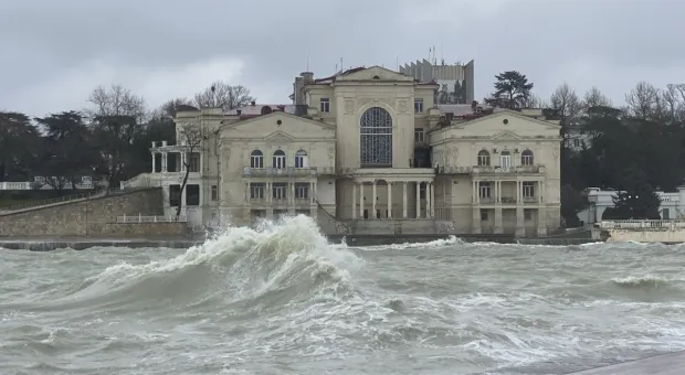 Новости Севастополя - В Севастополе подсчитали число свадеб в 2019 году