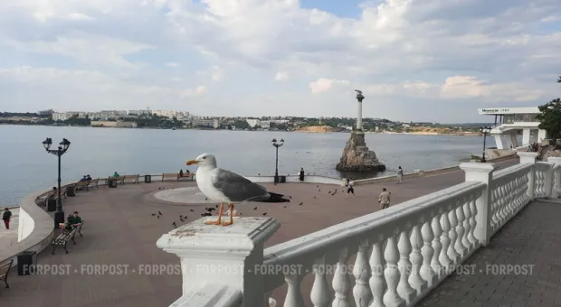 Новости Севастополя - В Севастополе снова выросла цена на бензин