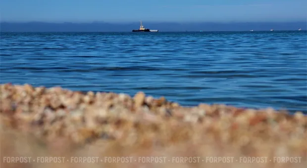 Новости Севастополя - Вячеславу Аксёнову нужна поддержка Севастополя