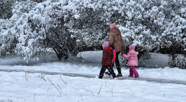 Новости Севастополя - Севастополь бьётся за фисташки в Омеге в судах