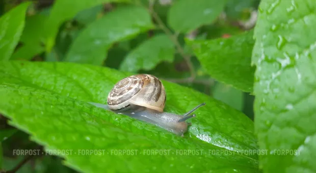 Новости Севастополя - Михаил Чалый объяснил решение баллотироваться в заксобрание Севастополя 