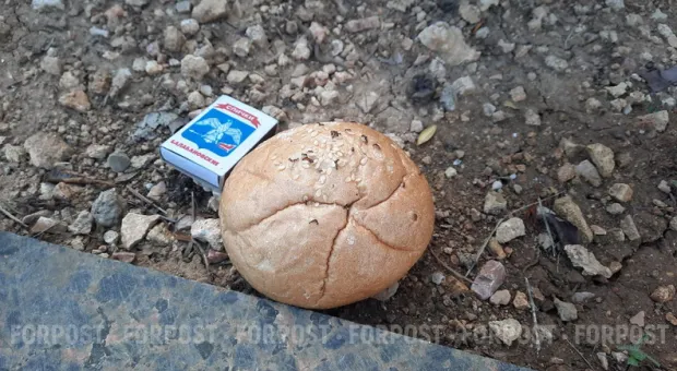 Новости Севастополя - Благотворительная организация «Возрождение Славянского Единства» помогла Севастопольскому дому-интернату