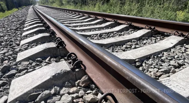 Новости Севастополя - Сотрудникам севастопольского управления по борьбе с эконом. преступностью досталась "Казацкая слава"