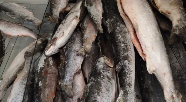 Новости Севастополя - Началось слушание дела о матросском бульваре