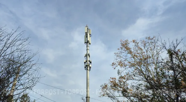 Новости Севастополя - Юлию Тимошенко просят разорвать договор о базировании Черноморского флота в Крыму