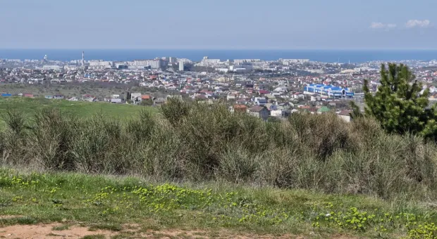 Новости Севастополя - 