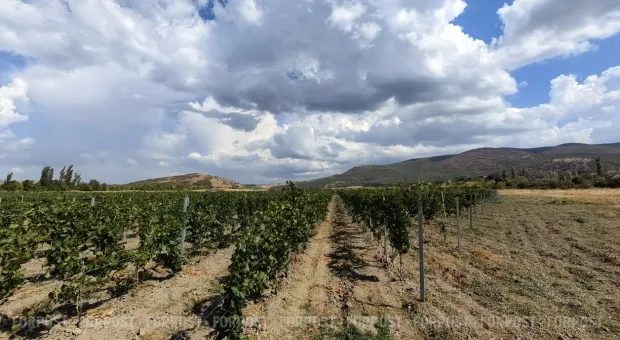 Новости Севастополя - Севастополь развернул в Россию отток денег в Западную Европу 