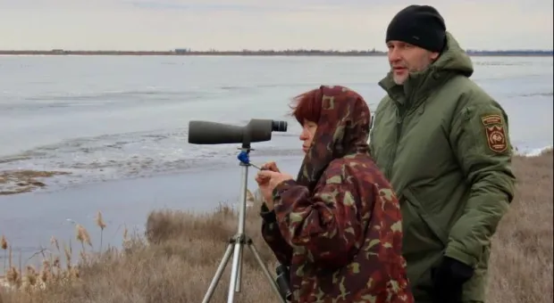 Новости Крыма - 