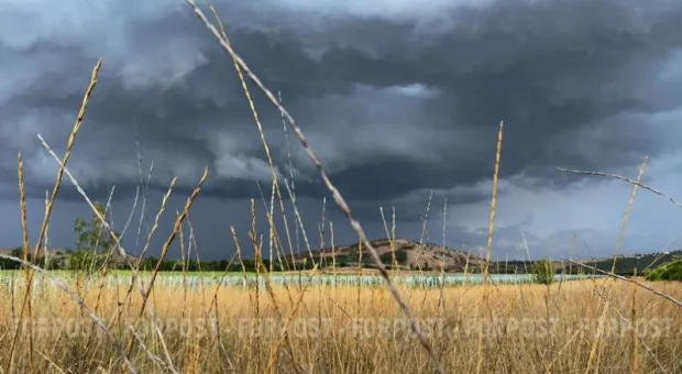 Новости Крыма - 