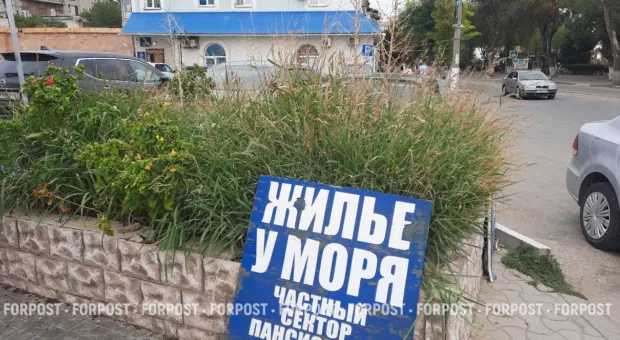 Новости России - 