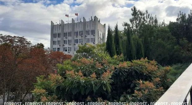 Новости Севастополя - Пятница 16:00. Прямой эфир «На троих». Искушение взяткой/ Умный ритейл будущего/ Чаевые для Ozon