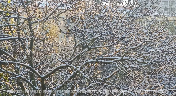 Новости Севастополя - Сенаторы и судьи возмутились, что получают штрафы с камер, как обычные водители